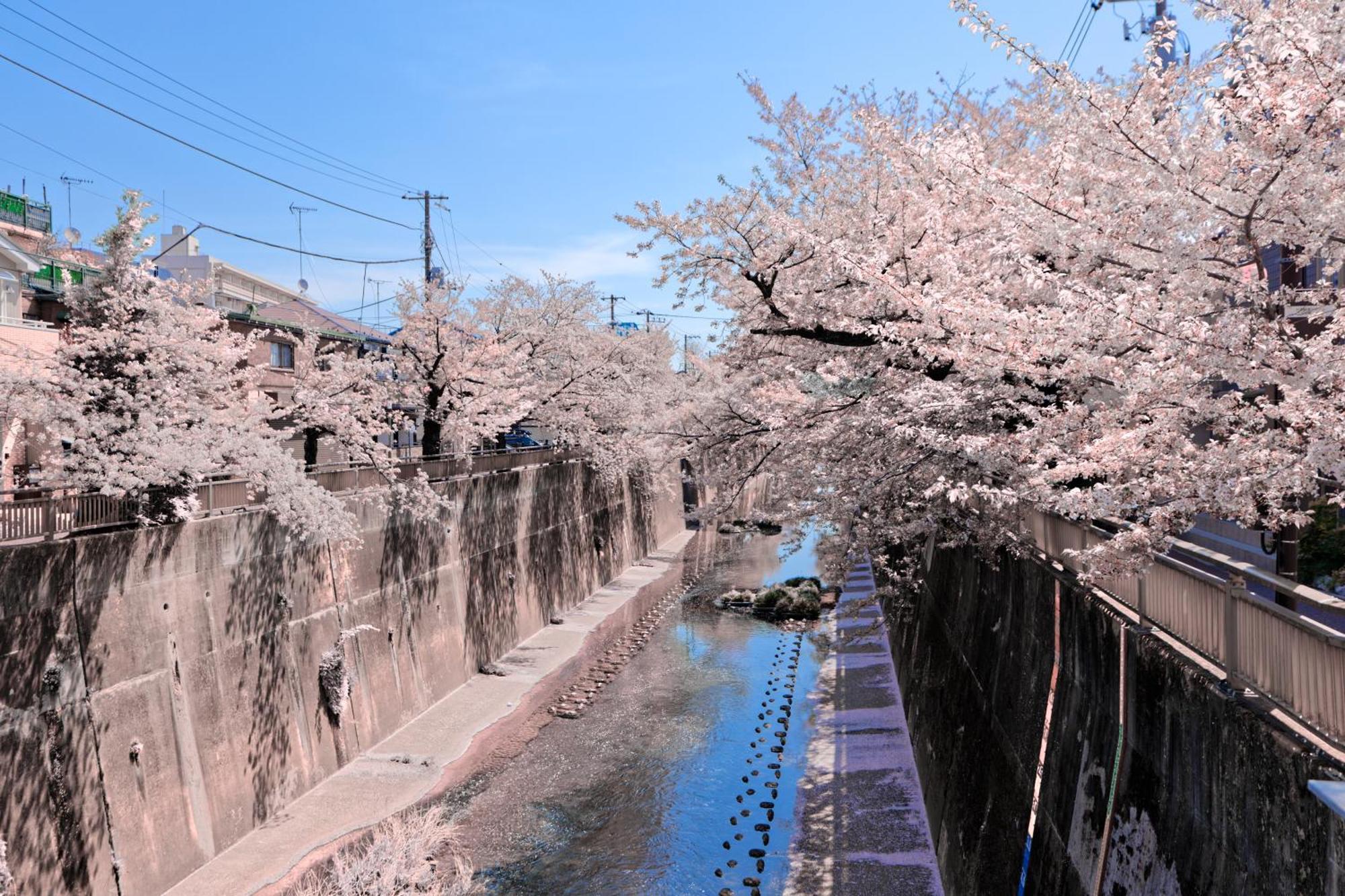 Calm Riverside Inn Close To Ikebukuro Tokyo Bagian luar foto